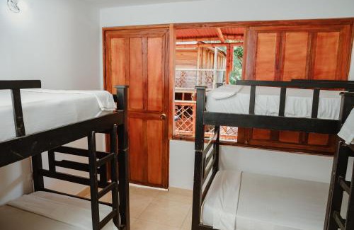 Palomino House | Hostal Casa Celeste