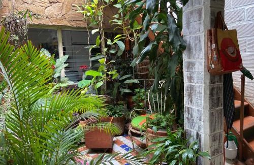 Villa Hermosa House | Budget-Friendly Hostal Casa Las Tías with Kitchen Access