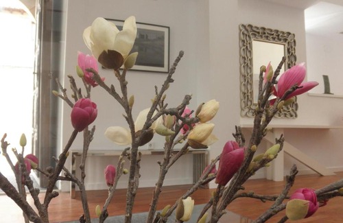 Siguenza House | Pet-Friendly Hostal Doña Blanca with Breakfast & Accessibility