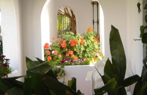 Zahora House | Oceanfront Hostal El Capi: Rated 9.1 with Pool Access