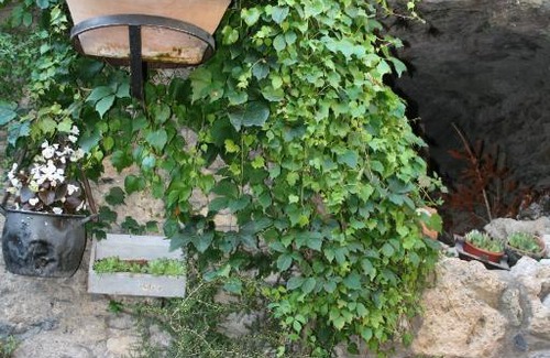 Beget House | Guest Rated Hostal El Forn with Restaurant & Breakfast