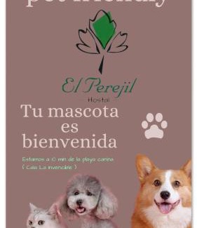 Las Herrerias Hotel | Discover Hostal El Perejil: Oceanfront Pet-Friendly Getaway