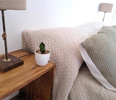 Navarro House | Budget-Friendly Hostal El Soleado with Pool & Pet Access
