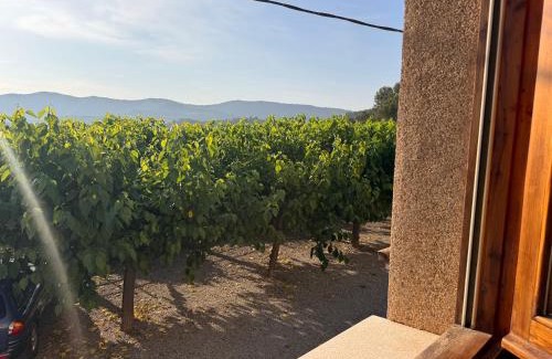 La Coromina House | Family-Friendly Stay at Hostal El Violí - Rated 8.2/10