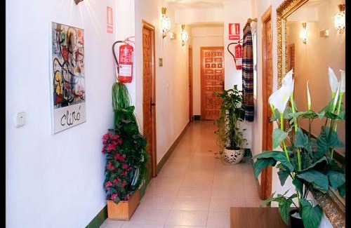 Almeria House | Pet-Friendly Hostal Estación: Ideal for Family Getaways