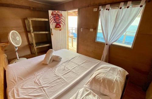 Isla Mucura House | Eco Hostal Estrella De Mar: Pet-Friendly Beach Retreat