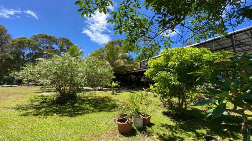 Hanga Roa House | Oceanfront Bliss at Hostal Harepakoba - Rated 9.5/10