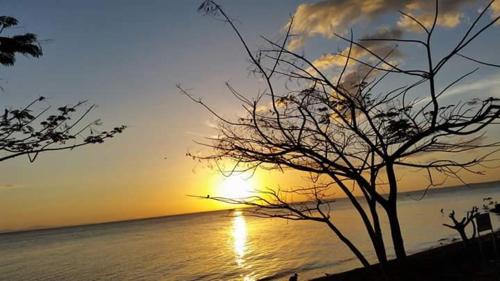 Santa Cruz House | Cozy Hostal La Cascada: Oceanfront Retreat with Great Reviews