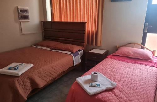 Toro Toro House | Hostal La Extincion