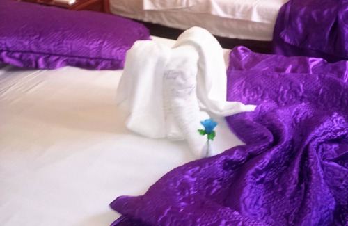 Trinidad House | Discover Hostal OasISabel: Oceanfront Getaway with Spa