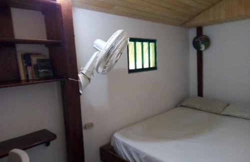 Palomino House | Eco-Friendly Hostal Paloma Café with Oceanfront Dining