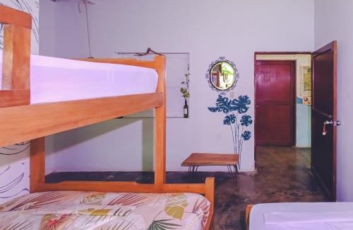 Palomino Cabin | Eco-Friendly Palomino EcoHouse & Camping - 9.4/10 Rated Stay
