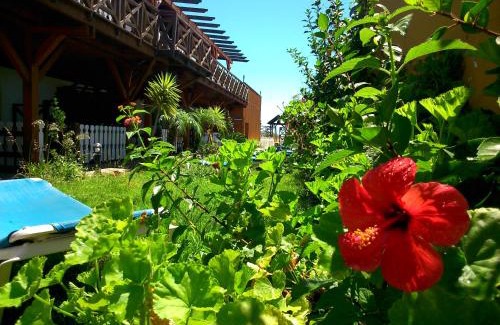 Mazagon House | Relax at Hostal Playa Mazagon with Oceanfront Views