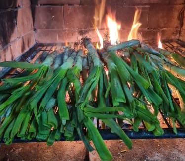 Hortiguela House | Discover Hostal-Restaurante La Moruga: Pet Friendly & Family Fun