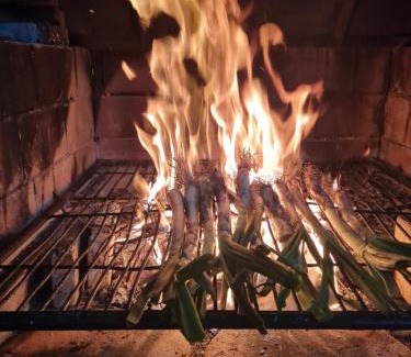 Hortiguela House | Discover Hostal-Restaurante La Moruga: Pet Friendly & Family Fun