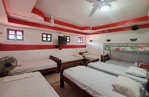 Leon House | Pet-Friendly Hostal Ruinas de San Sebastián with Pool Access