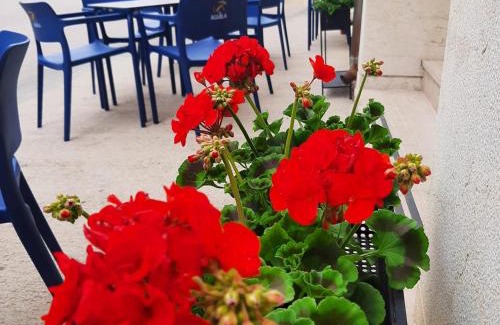 Penarroya de Tastavins House | Hostal Tastavins: Family-Friendly Stay with Pool & Dining