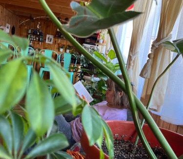 Navidad House | Top-Rated Hostal Waiwen: Family-Friendly & Pet Welcoming