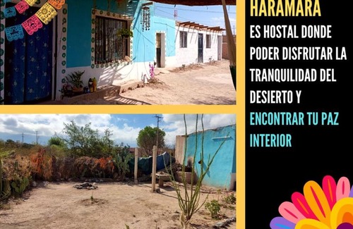 Real de Catorce House | Discover Hostal y Camping Haramara for Your Next Getaway