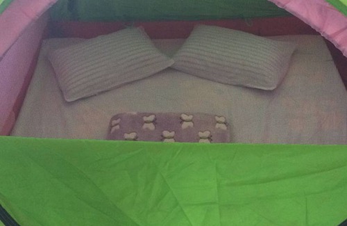 Ella Hostel | Comfortable Camping for 8 Guests - Pet & Child Friendly!