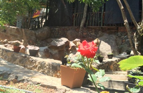 Ella Hostel | Comfortable Camping for 8 Guests - Pet & Child Friendly!
