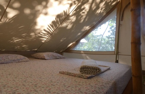 San Francisco de Coyote Bed & Breakfast | Budget-Friendly Hostel & Camping Alouatta with Great Amenities