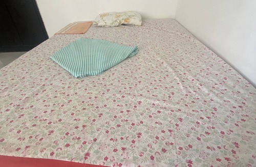 Piaui Cabin | Budget-Friendly Stay at Hostel Coração de Jesus