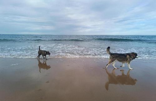 Bakio Hotel | Pet-Friendly Hostería Señorío de Bizkaia with Great Amenities