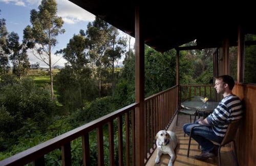 Polivio Hotel | Experience Hosteria Papagayo Cotopaxi: 9.4/10 & Spa Retreat