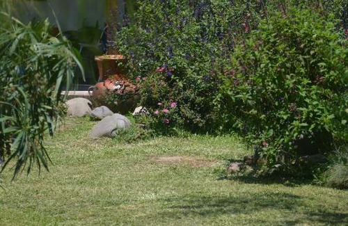 Reyes Hotel | Experience Comfort at Hosteria Quinta Alta with Hot Tub & More