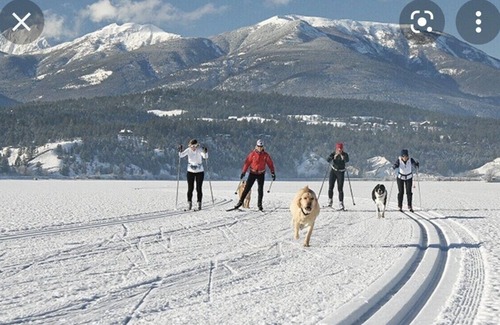 East Kootenay Cabin | Pet-Friendly Hot Springs Cabin with Ocean View & Spa
