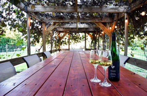 Boyce House | Relaxing Wine Country Escape with Hot Tub & Fire Pit