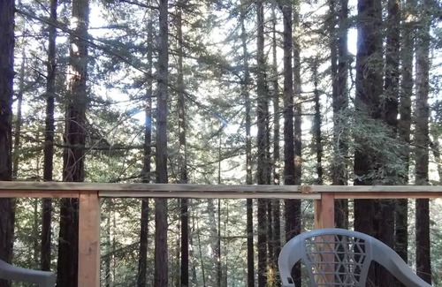Los Gatos House | Hot tub Hummingbird treehouse Beach, Wine tasting