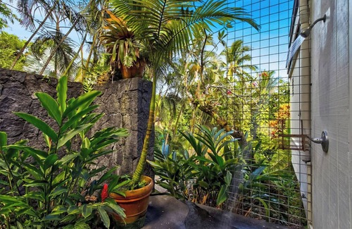 Kapoho House | Relaxing Jungle House with Hot Tub Near Kehena Beach