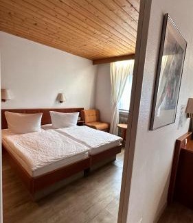 Leutershausen Hotel | Discover Hotel Hirschberg: Pet-Friendly Retreat with Pool