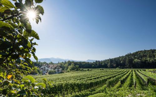 St. Michael/San Michele Hotel | Discover Hotel Weingut Stroblhof: 4-Star Oceanfront Retreat