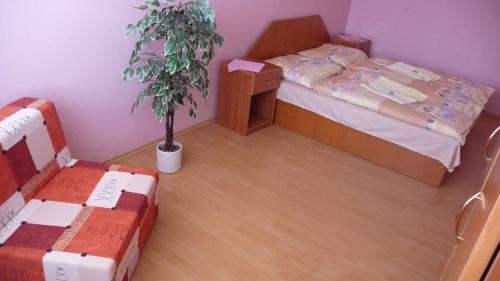 Sever Hotel | Discover Comfort at Hotel Štadión with Family-Friendly Amenities