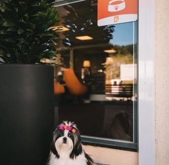Sao Joao Batista Hotel | Pet-Friendly Hotel 10 São Leopoldo: Rated 9/10 by Guests
