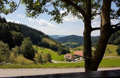 Oberwolfach Hotel | Comfortable Stay at Hotel 3 Könige with Inclusive Breakfast