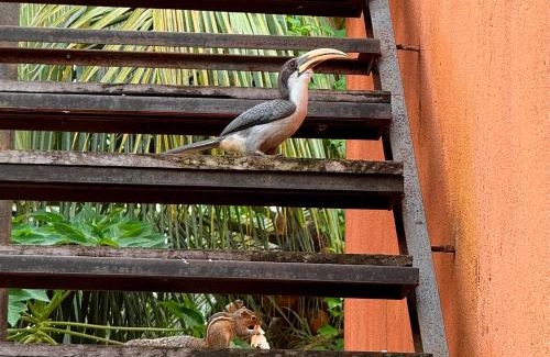 Anuradhapura Hotel | Explore Hotel 4 U Saliya Garden: Family-Friendly Retreat
