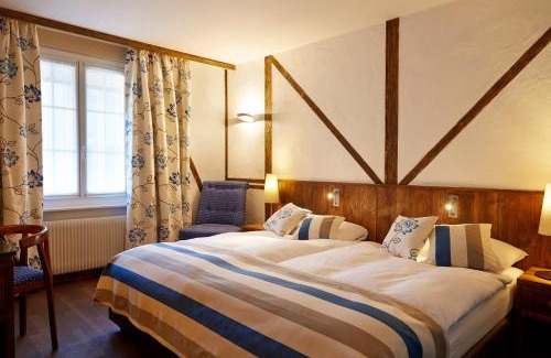 Niederdorf Hotel | Discover Hotel Adler Zürich: Pet-Friendly & Family Welcoming