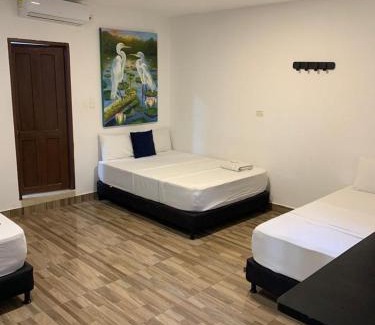 Arboletes Hotel | Oceanfront Retreat at Hotel Agroturistico Palma Vino