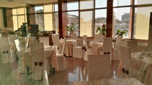 Centro Urbano Hotel | Comfortable Stay at Hotel Alexander with Pet-Friendly Amenities