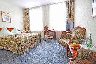 Plauen Hotel | Pet Friendly Stay at Hotel Alexandra with Pool & Spa