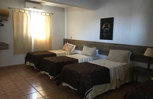 Bauru Hotel | Discover Hotel Alfa de Bauru Ltda: Pet-Friendly Retreat