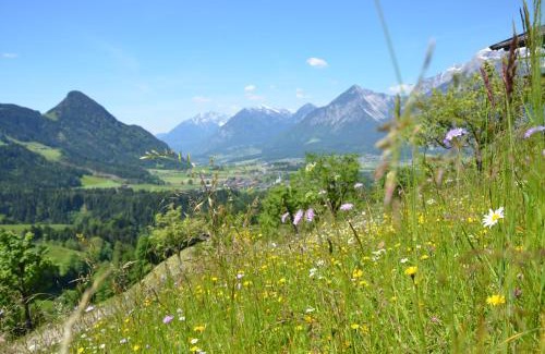 Reith im Alpbachtal Hotel | Pet-Friendly Retreat at Hotel & Alpengasthof Pinzgerhof
