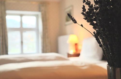 Hannoversch Munden Hotel | Discover Hotel Alter Packhof: Pet-Friendly & Family-Oriented