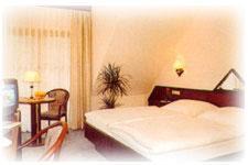 Frankenhain Hotel | Discover Comfort at Hotel am Gisselgrund with Pet-Friendly Perks
