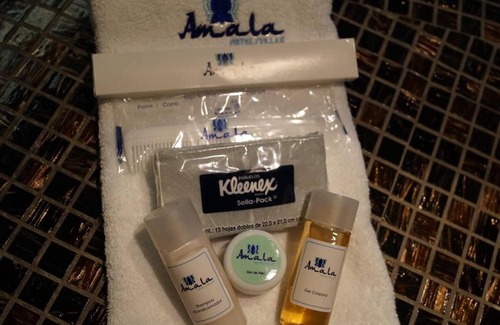 Tlalpan Hotel | Relaxing Getaway at Hotel Amala with Spa and Dining Options