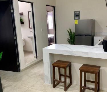 Tapachula Hotel | Hotel and Suites Hortensias